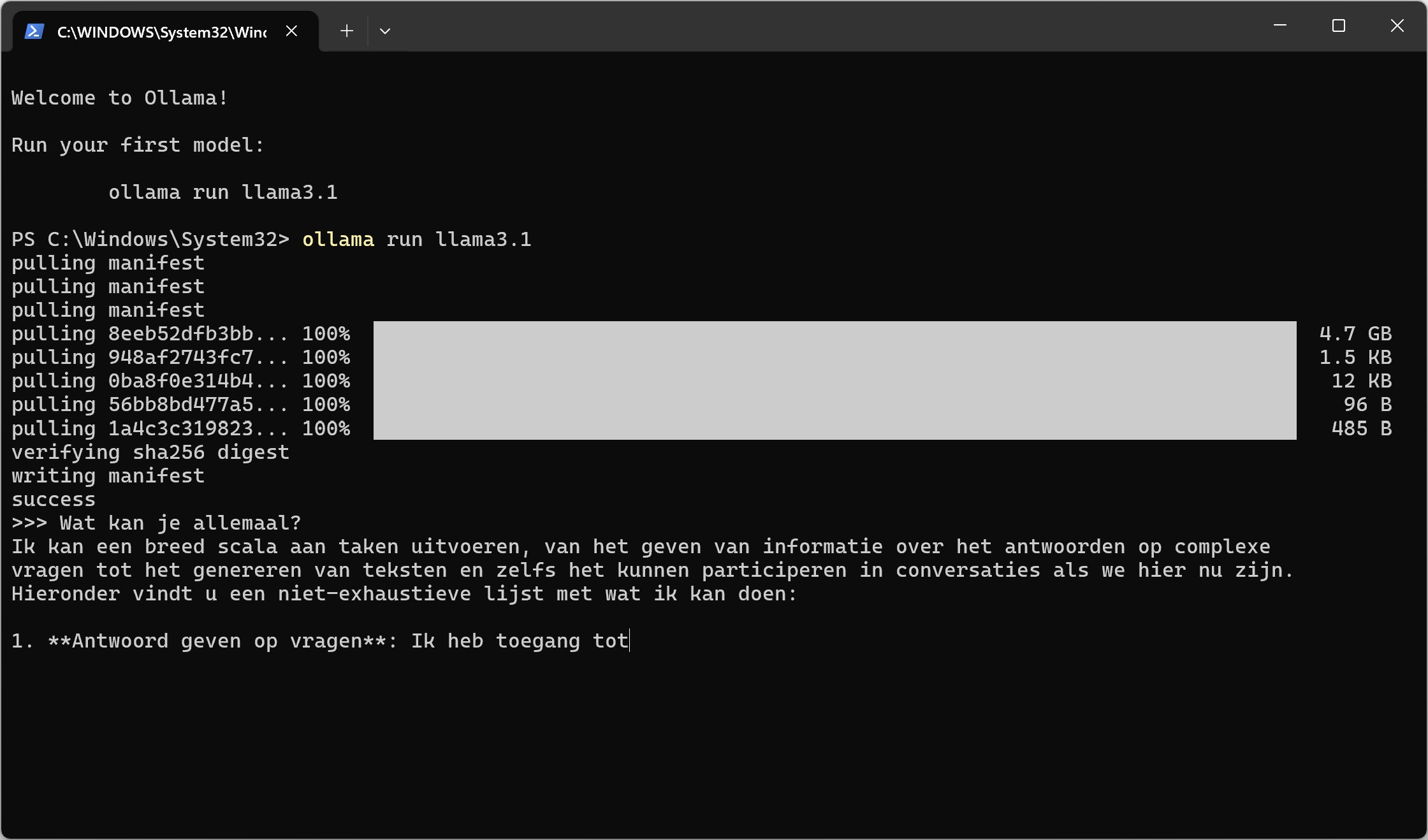 Screenshot van het gebruiken van Ollama
